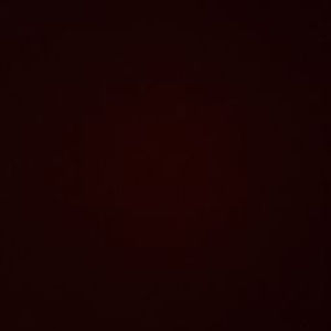 Meet your Posher, Audrey